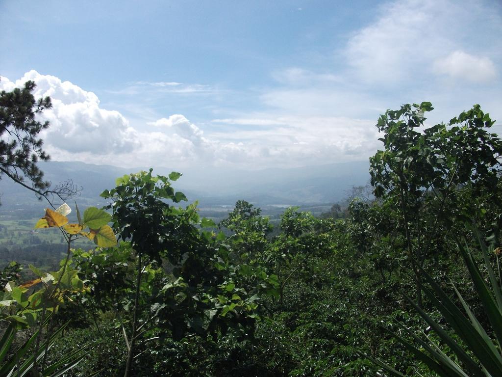 Green Mountain And Lodge Turrialba Zewnętrze zdjęcie
