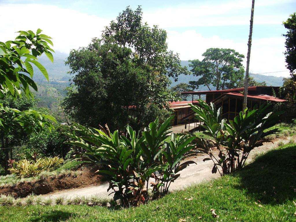 Green Mountain And Lodge Turrialba Zewnętrze zdjęcie