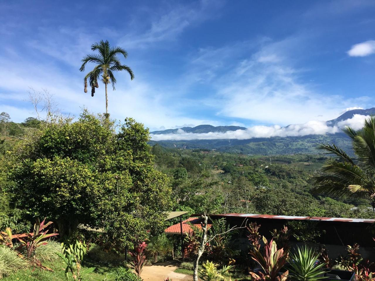 Green Mountain And Lodge Turrialba Zewnętrze zdjęcie