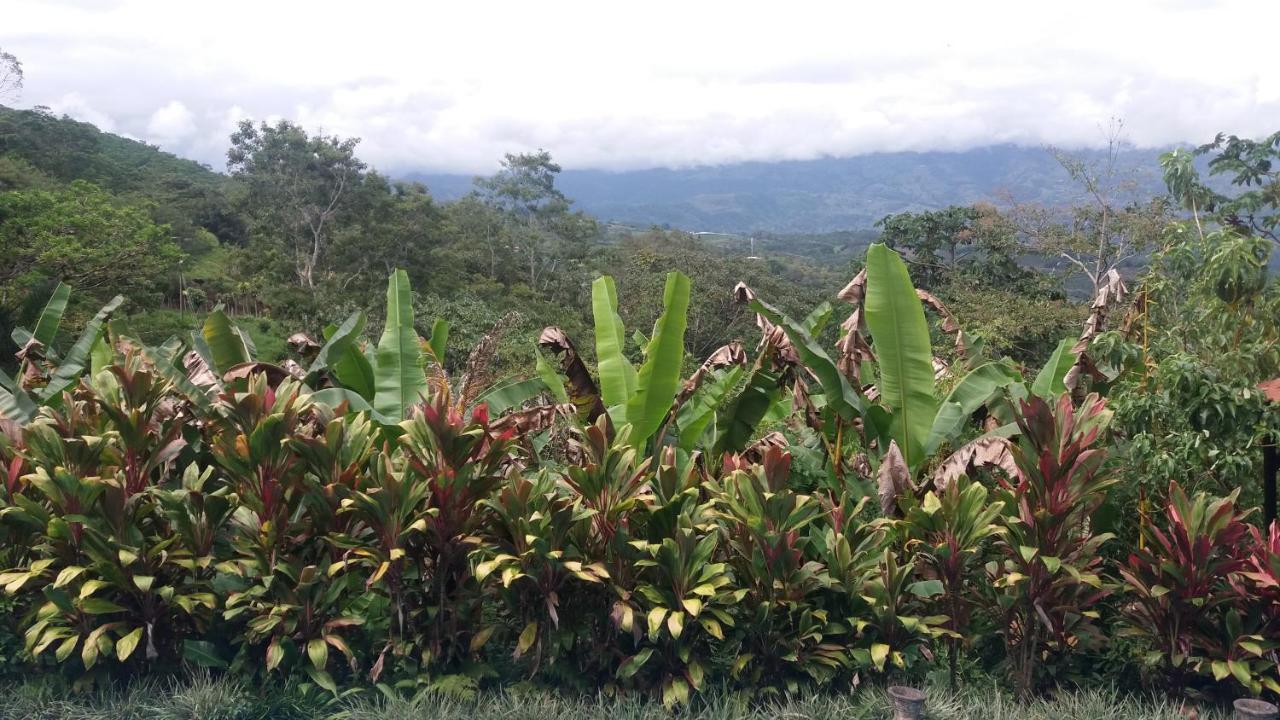 Green Mountain And Lodge Turrialba Zewnętrze zdjęcie
